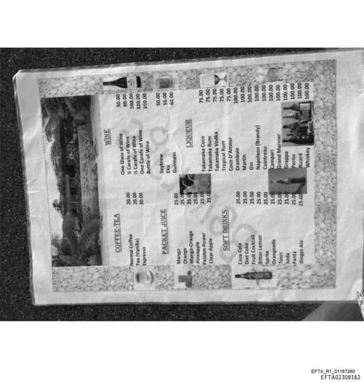 Preview of EFTA02308162