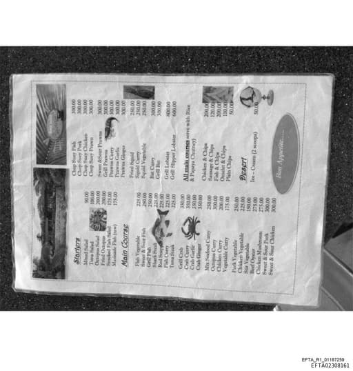 Preview of EFTA02308161