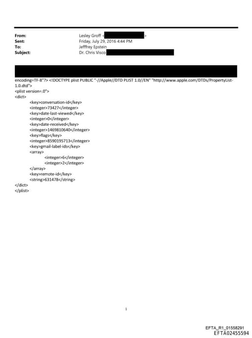 Preview of EFTA02455594