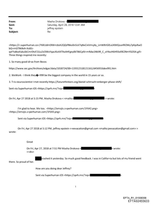 Preview of EFTA02455633