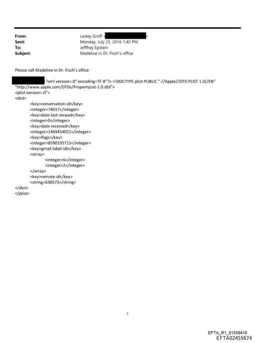 Preview of EFTA02455674