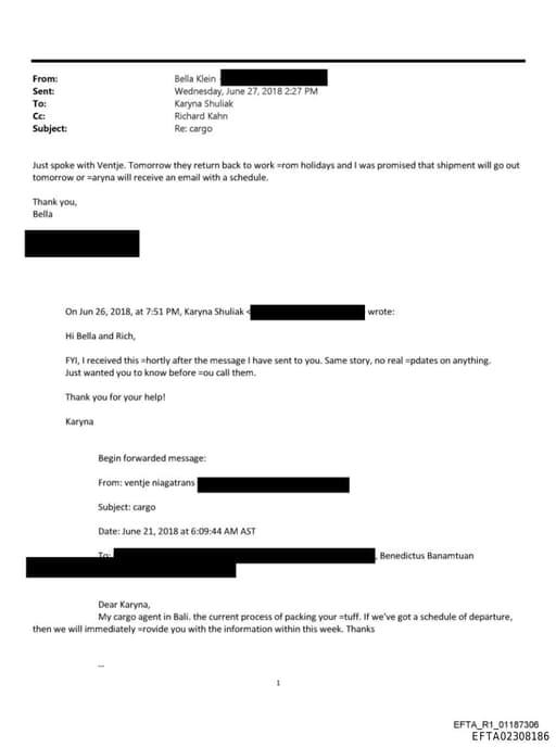 Preview of EFTA02308186