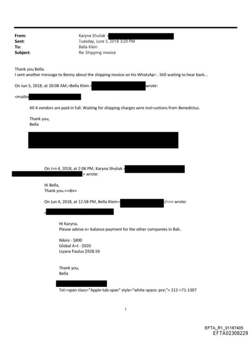 Preview of EFTA02308229