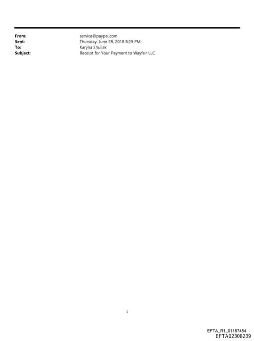 Preview of EFTA02308239