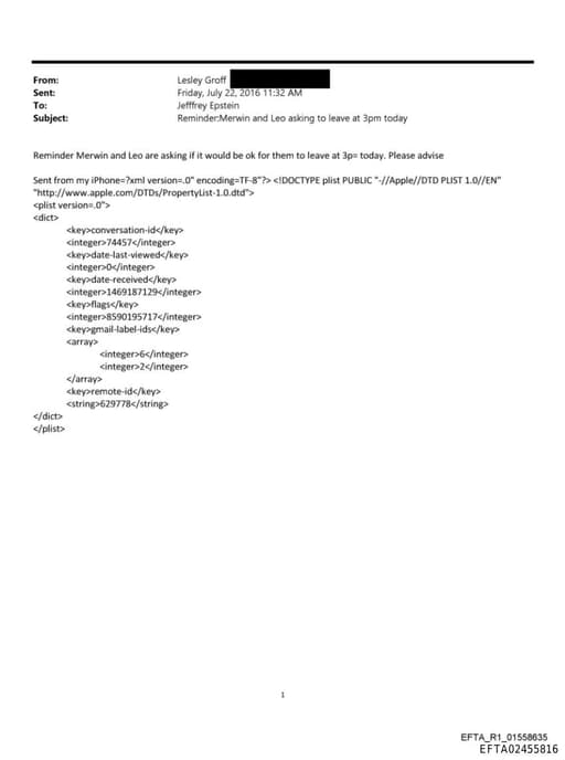 Preview of EFTA02455816