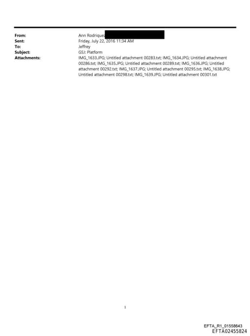 Preview of EFTA02455824