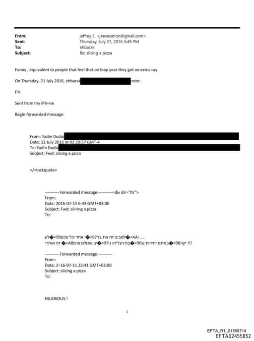 Preview of EFTA02455852