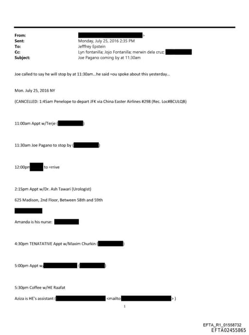 Preview of EFTA02455865