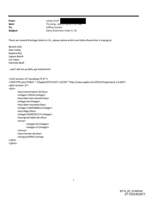 Preview of EFTA02455877