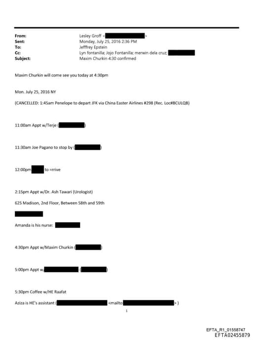 Preview of EFTA02455879