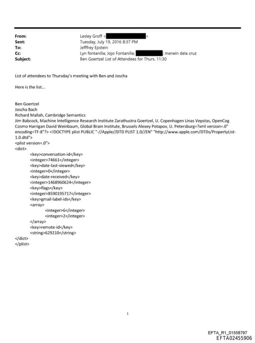 Preview of EFTA02455906