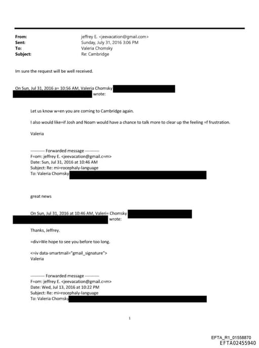 Preview of EFTA02455940