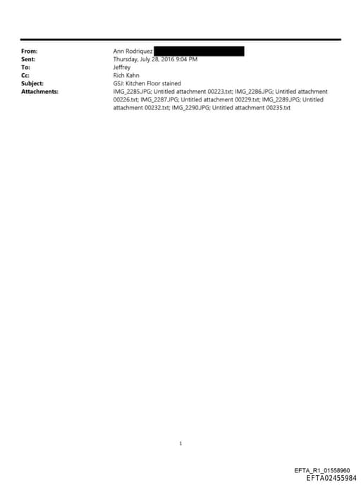 Preview of EFTA02455984