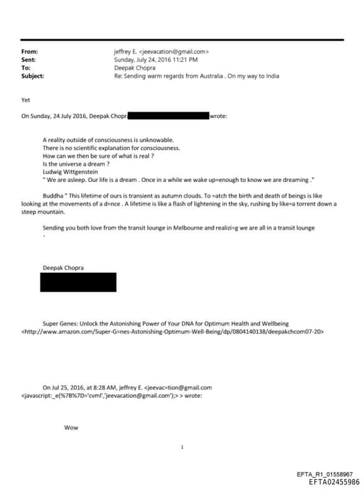 Preview of EFTA02455986