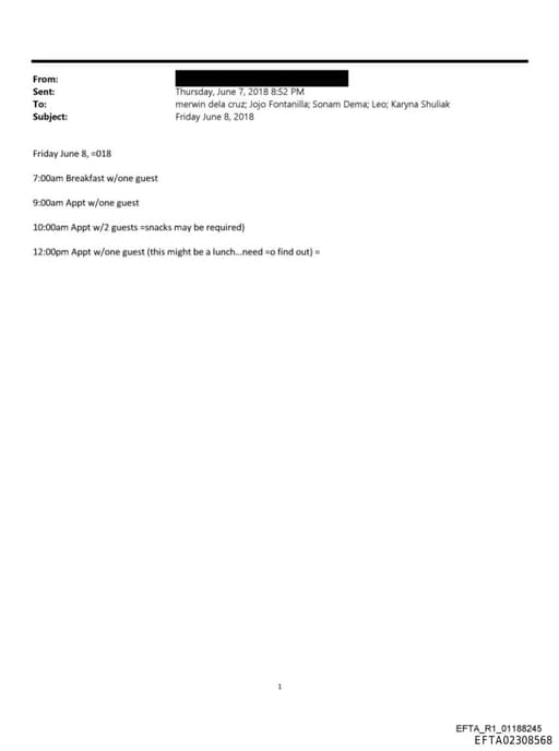 Preview of EFTA02308568