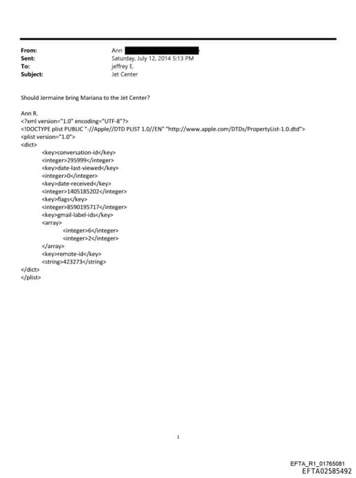 Preview of EFTA02585492