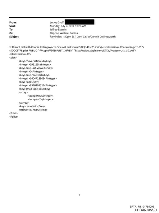 Preview of EFTA02585503