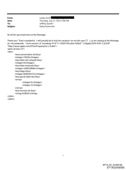 Preview of EFTA02456095