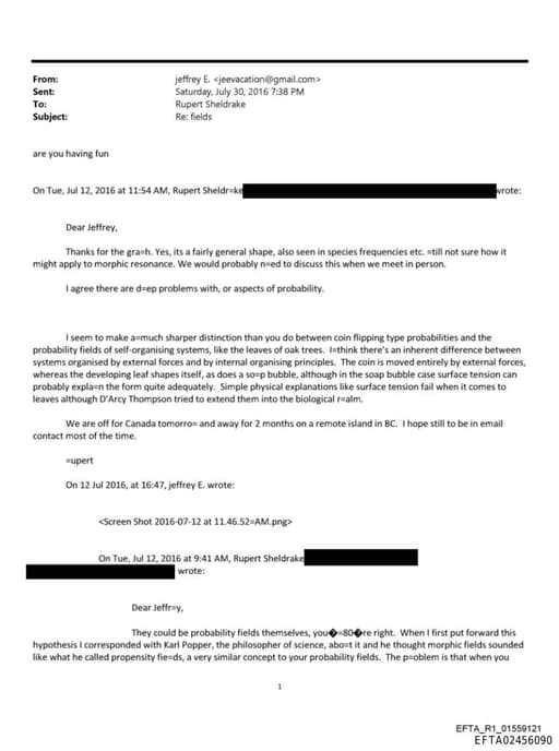 Preview of EFTA02456090