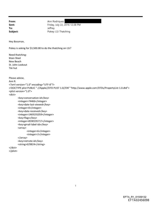 Preview of EFTA02456098