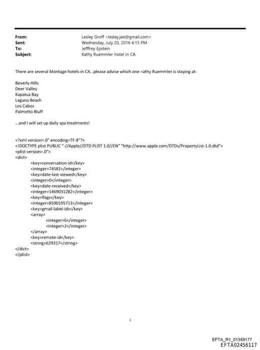 Preview of EFTA02456117