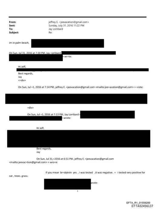 Preview of EFTA02456137