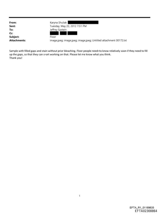 Preview of EFTA02308864