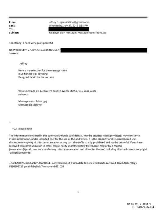 Preview of EFTA02456384