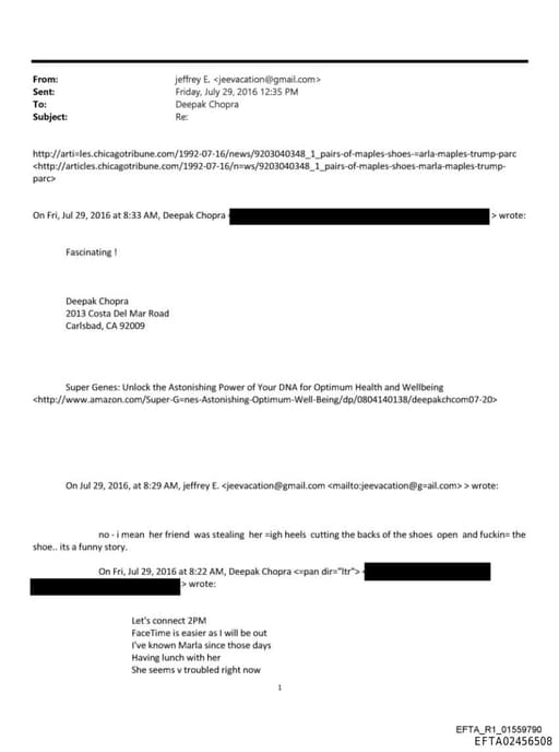 Preview of EFTA02456508