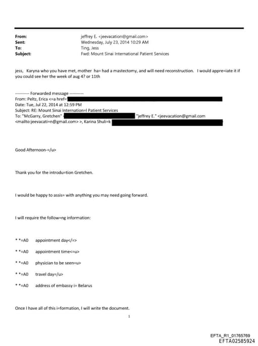 Preview of EFTA02585924