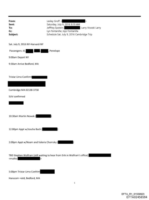 Preview of EFTA02456594