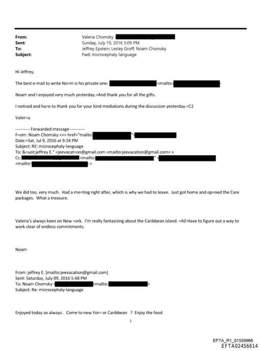 Preview of EFTA02456614