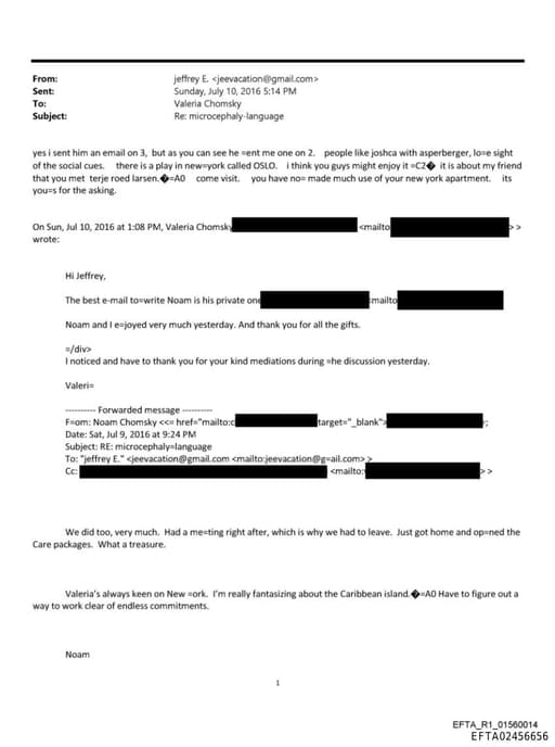 Preview of EFTA02456656