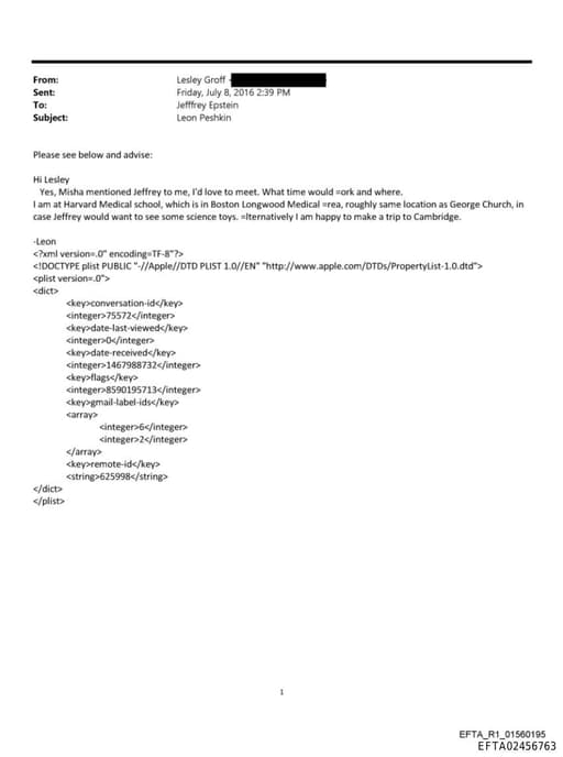 Preview of EFTA02456763