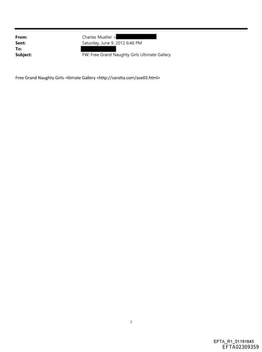 Preview of EFTA02309359