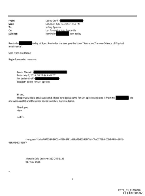 Preview of EFTA02586265