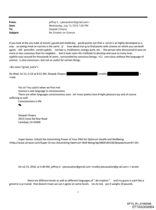 Preview of EFTA02456904