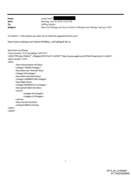 Preview of EFTA02456949