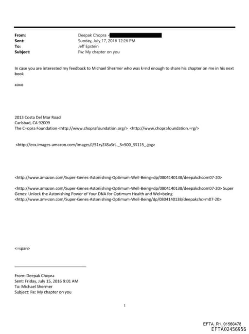 Preview of EFTA02456956