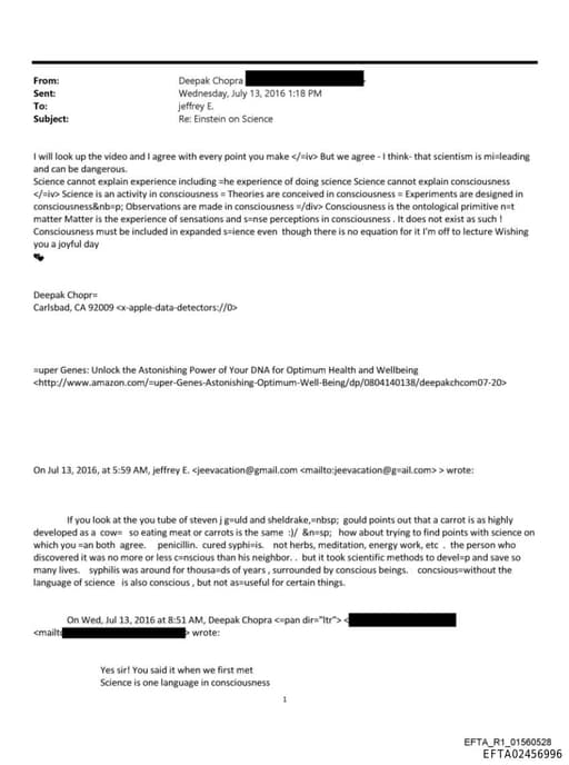 Preview of EFTA02456996