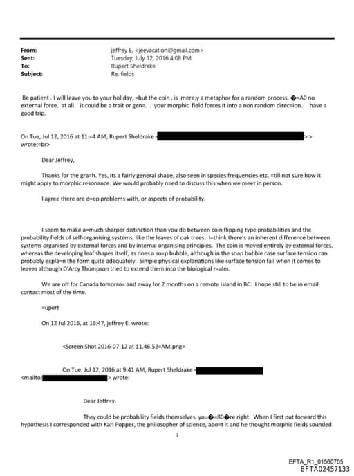 Preview of EFTA02457133