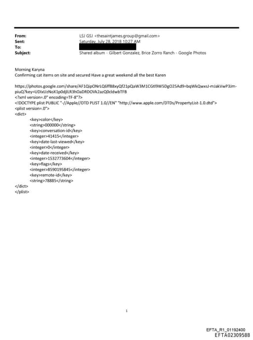 Preview of EFTA02309588