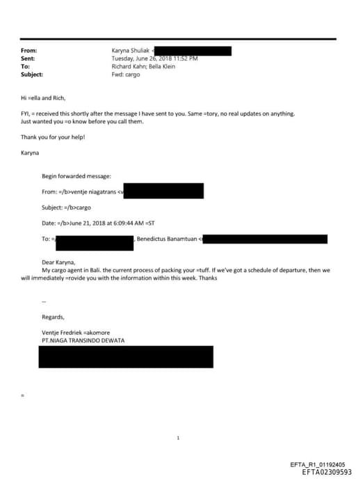 Preview of EFTA02309593