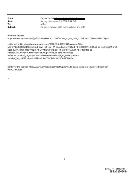 Preview of EFTA02309624