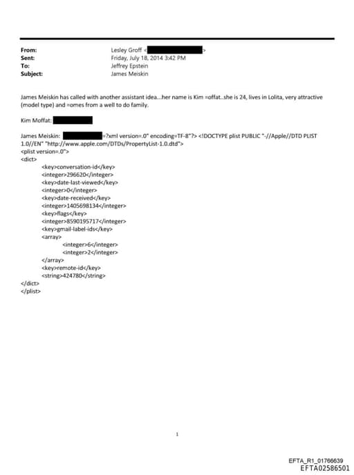 Preview of EFTA02586501