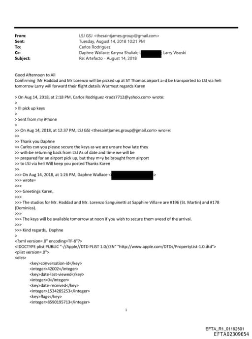 Preview of EFTA02309654