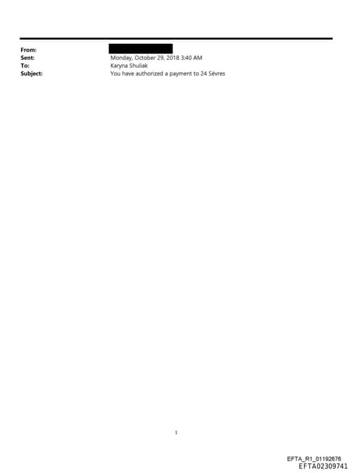 Preview of EFTA02309741