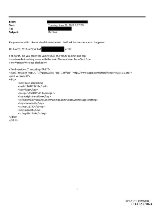 Preview of EFTA02309824