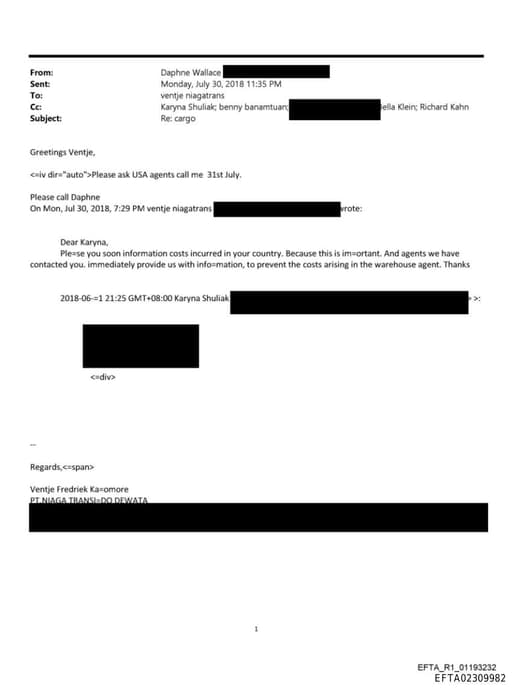 Preview of EFTA02309982