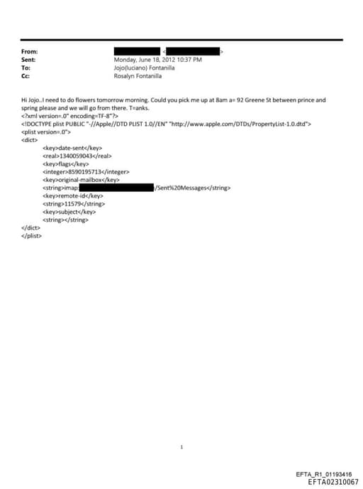 Preview of EFTA02310067